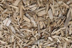 biomass boilers Ruchazie